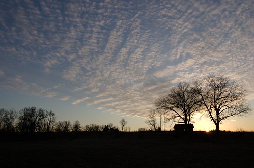 Sunset at Shaw Nature Reserve