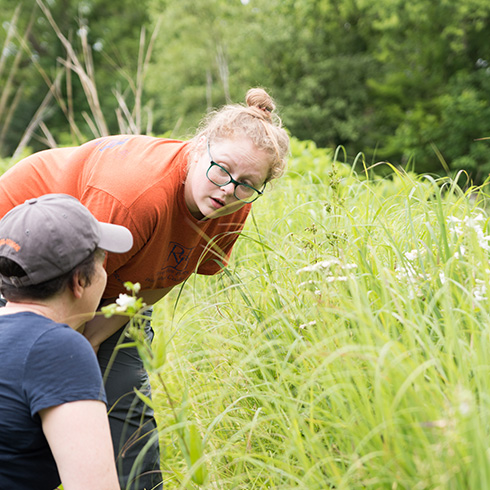 Students consulting near wild plants