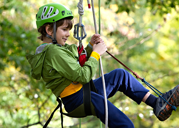 Canopy Climb