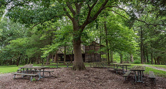 Picnic area