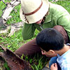 Examining a rotting log