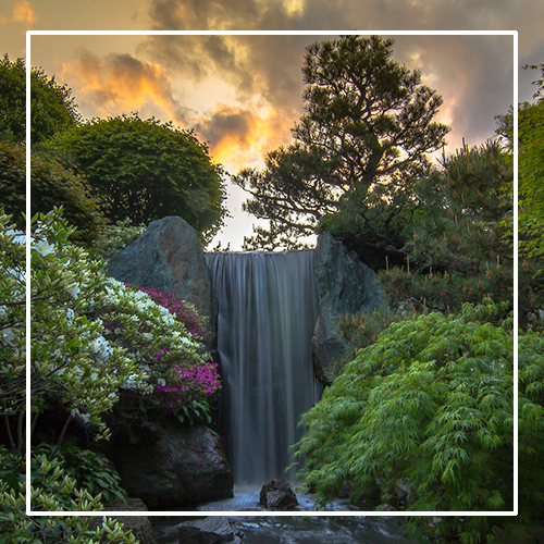 Waterfall in Japanese Garden