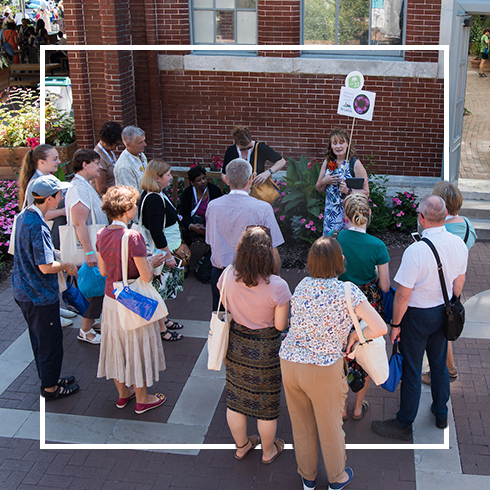 Private walking tour