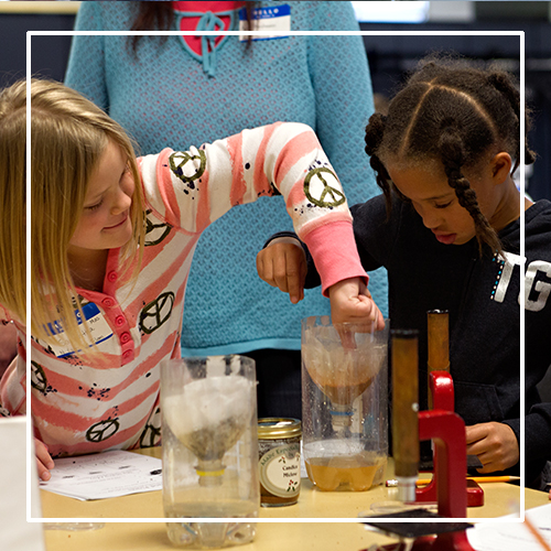 Students explore soil