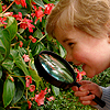 Boy using magnifying lens to view flowers